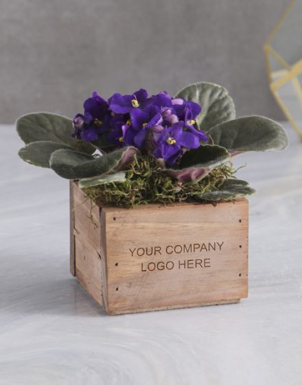 Personalised African Violet Crate