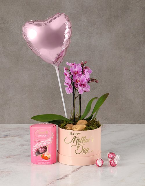 Pretty In Pink Orchid Hamper