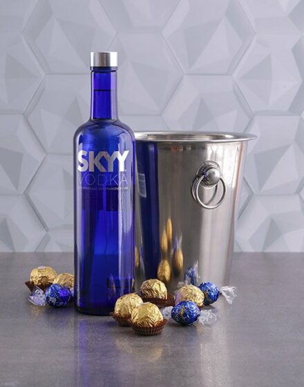 Skyy Vodka Ice Bucket Gift