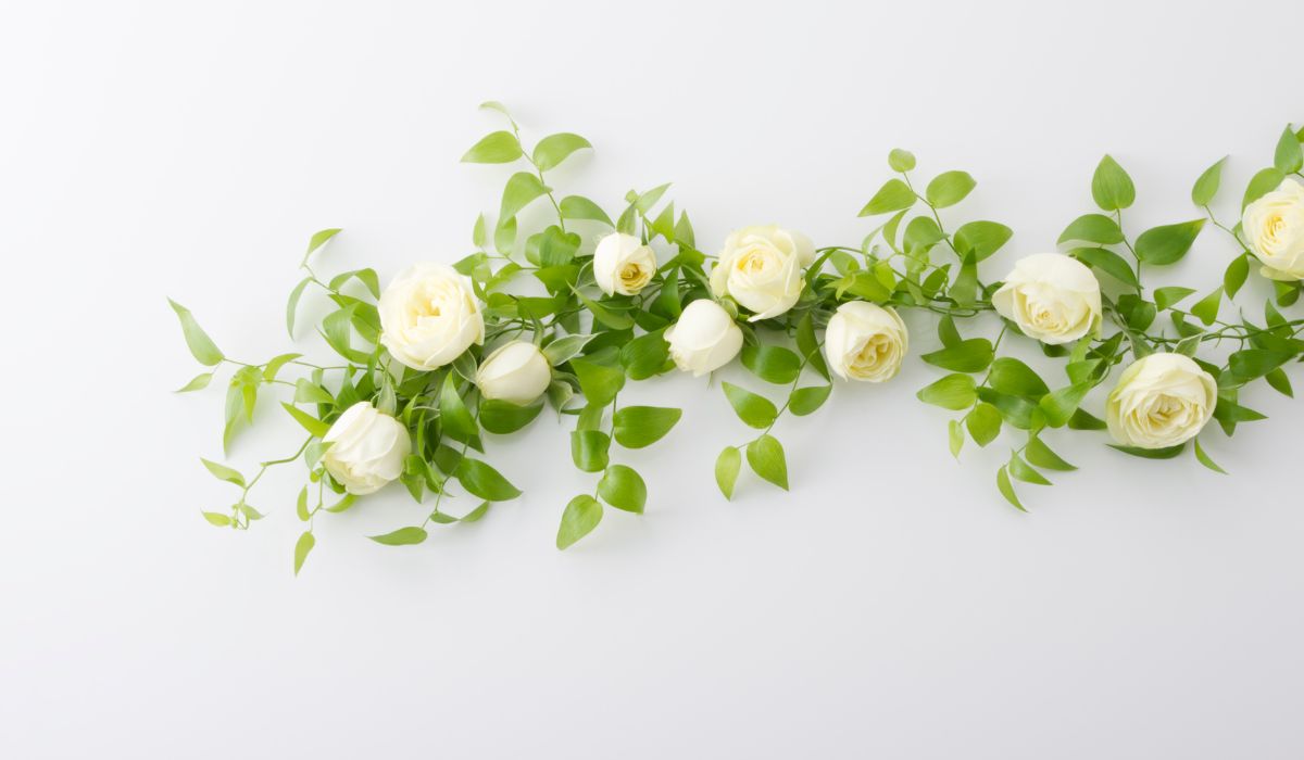 white roses symoblism