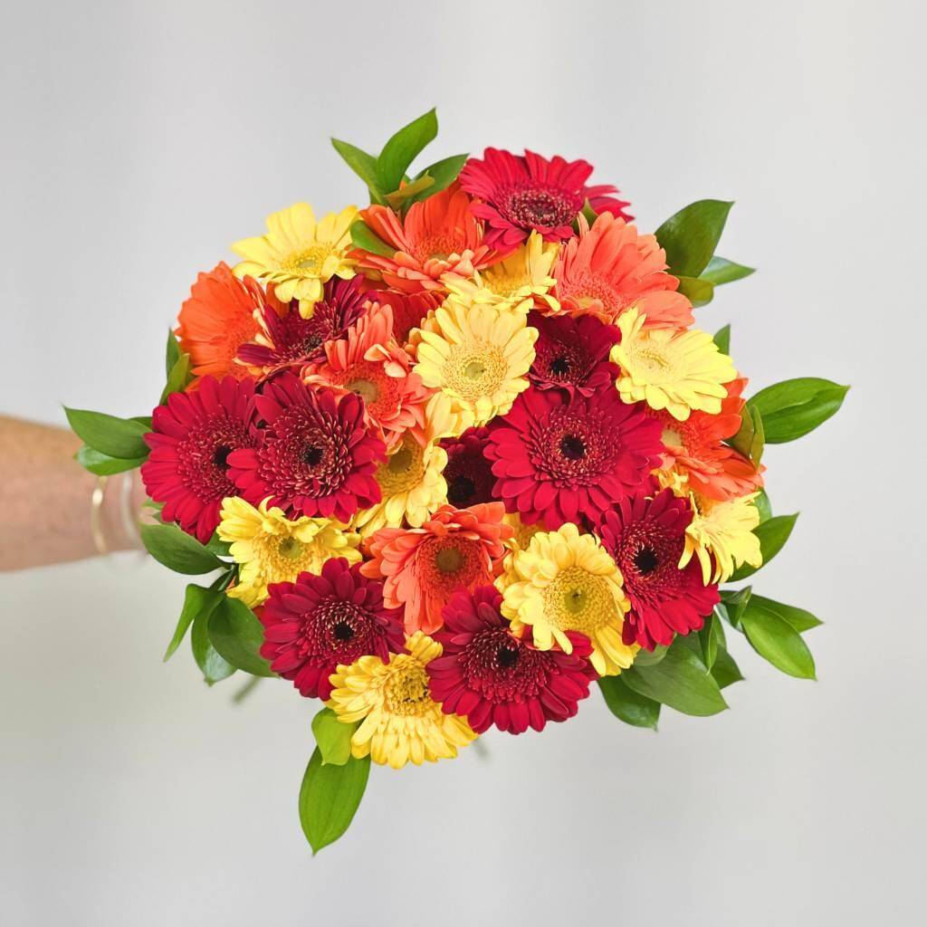 Crimson Dawn Gerbera Bouquet