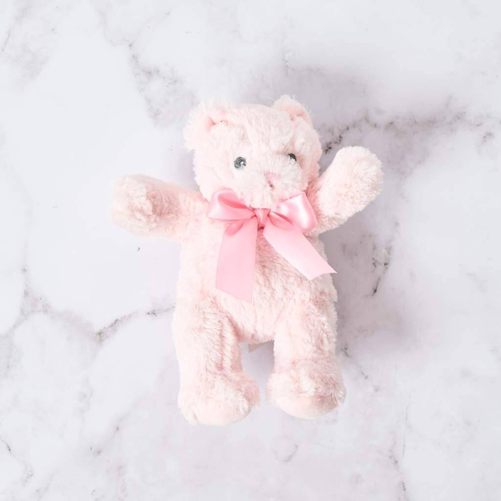 Pink Teddy (25cm height)