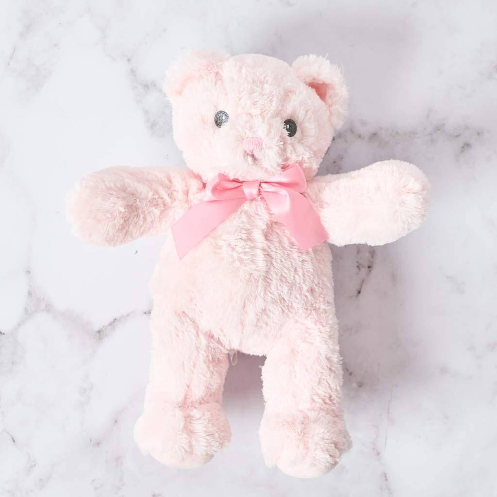 Pink Teddy (28cm height)